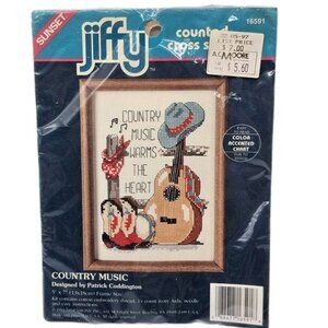 Jiffy Counted Cross Stitch Kit  Country Music Cowboy Hat Guitar #16591 New Vtg